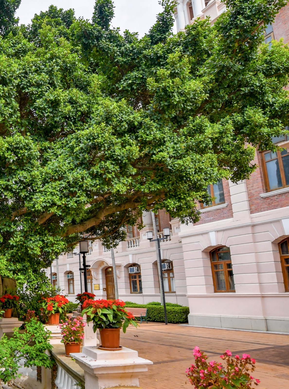 A quiet courtyard beside the HKU Main Building