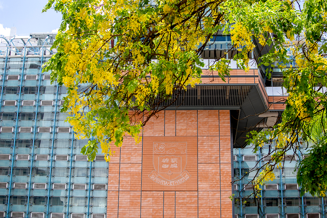 Golden shower trees framing a building on the HKU campus